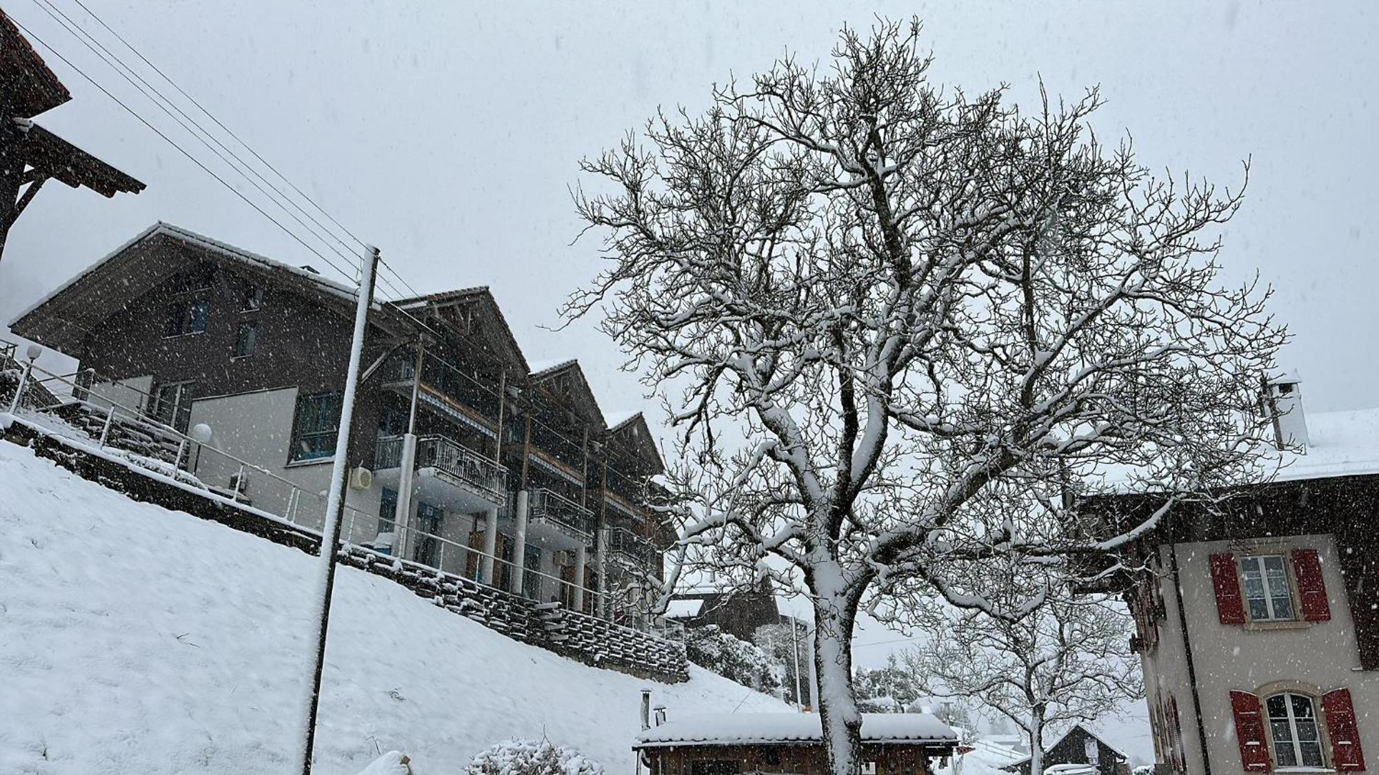 Lake View Residence Niederried bei Interlaken Buitenkant foto